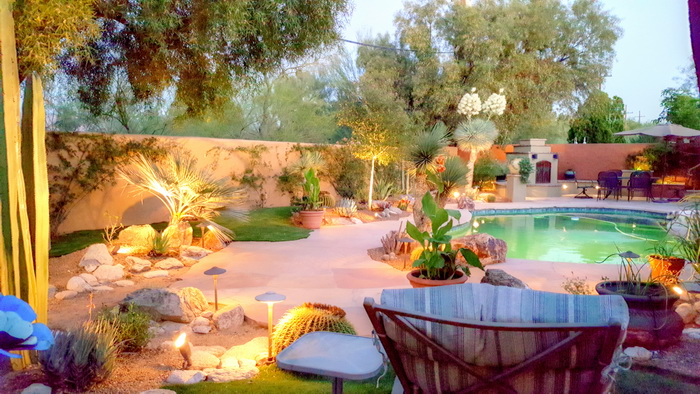 Desert-modern landscape lit at night with low-voltage landscape lighting