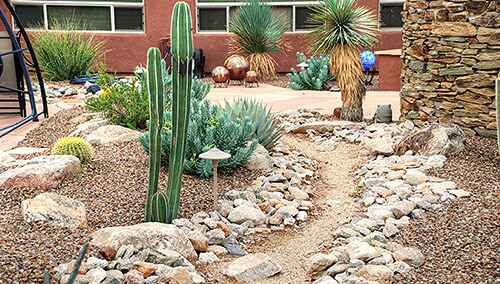 Desert xeriscape landscape design with cactus, boulders, and a gravel path